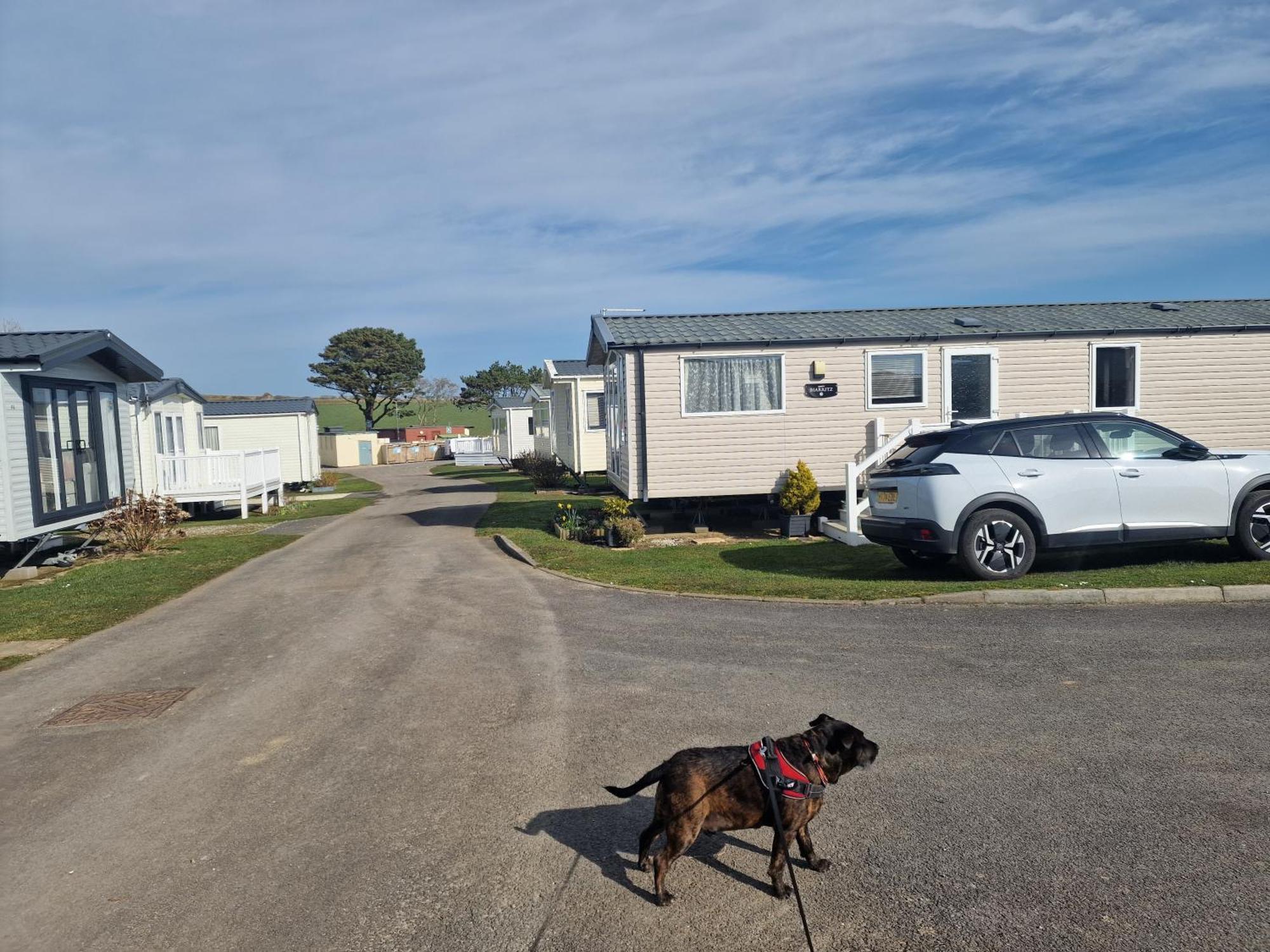 Durdlee Door, D27, Main Rd, West Lulworth, Wareham Bh20 5Pu酒店 外观 照片